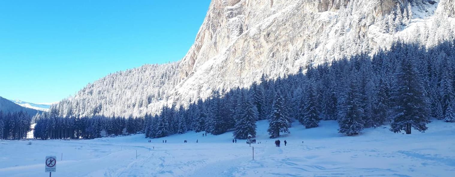 Garni Hotel Iris Selva di Val Gardena Exterior foto